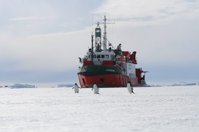 Ship in an icy region 