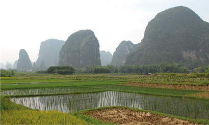 CAS Agriculture Work