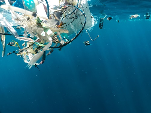 Image taken underwater of pollution floating 