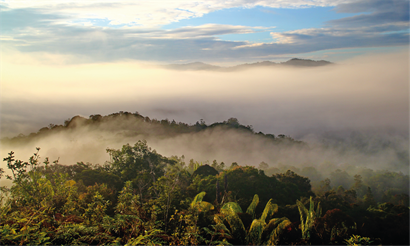 Skyline of Sarawak Forest with clouds