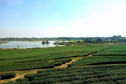Farm and water