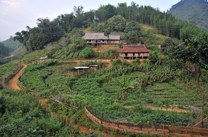 Vietnam Farm on Hill