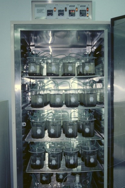 Fridge with the door open, showing samples in beakers on several shelves.