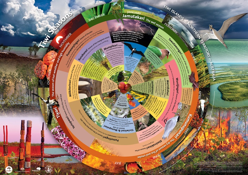 A circular calendar of Tiwi seasons showing images of plants, animals and landscapes of the Tiwi Islands and language names