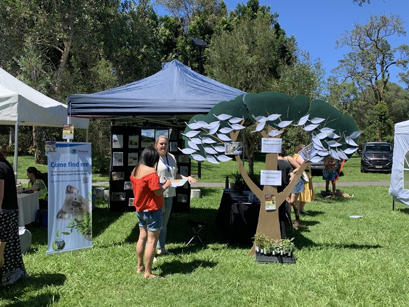 Two people stand by a stall at a community event showing a prop tree with education material about koalas on it