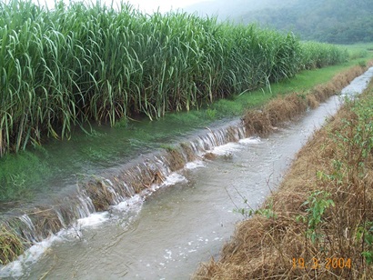 Water runoff from sugar cane fields.