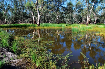 Murray Darling Basin, MDB, spatial tool 