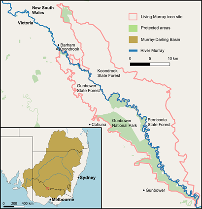 A map describing the Gunbower-Koondrook-Perricoota Forest Icon Site in terms of the geographic boundaries between state forests, and the location of the River Murray, Murray-Darling Basin Living Murray icon site and protected areas.