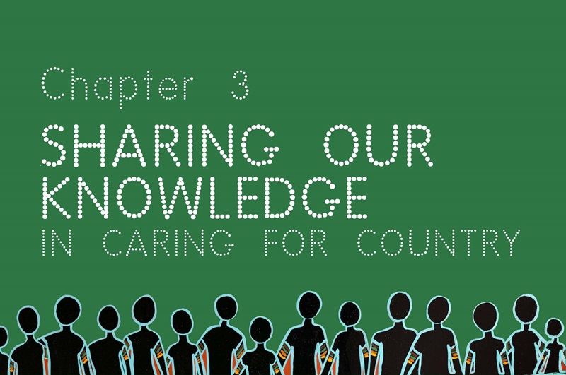 Indigenous dot painting graphic from the Our Knowledge, Our Way in caring for Country report referencing Chapter 3 - Sharing our knowledge in caring for Country.