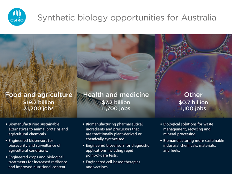 Infographic that describes the synthetic biology opportunities for Australia