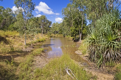 A river in northern Queensland.