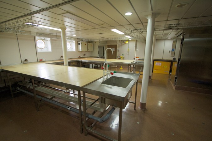 Interior of dirty wet lab