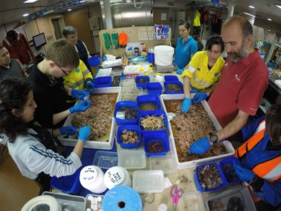 Six people sorting samples at a large table in a laboratory below deck.