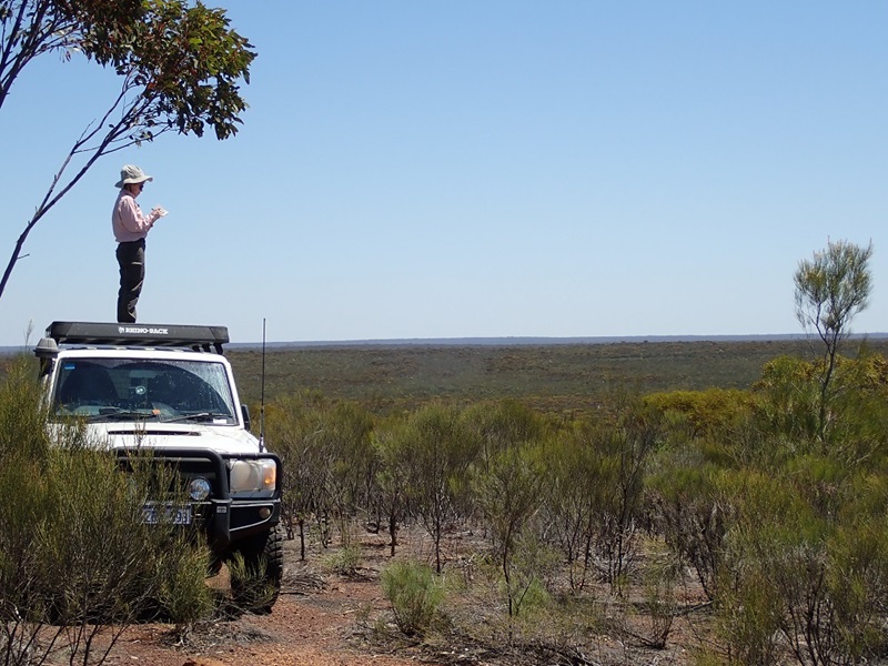 Person standing on Landcrusier roof in outback 
