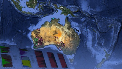 Visualisation of Australia showing pin tags on the surface 