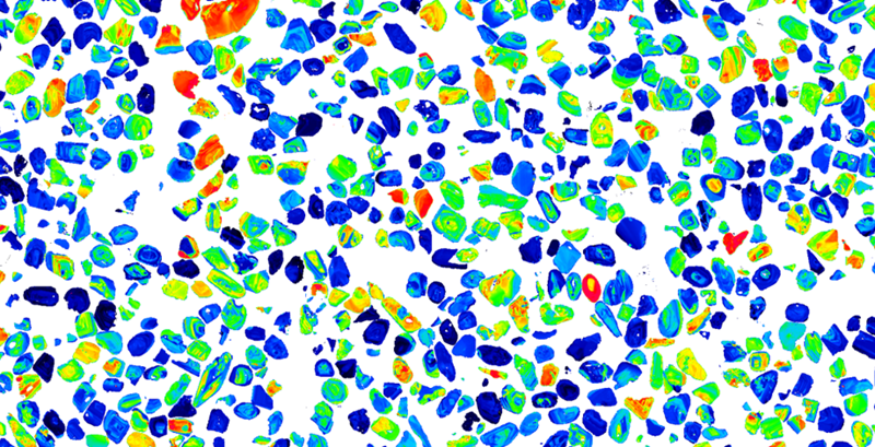 Patches of blue, green, red and yellow irregular shapes against a white background