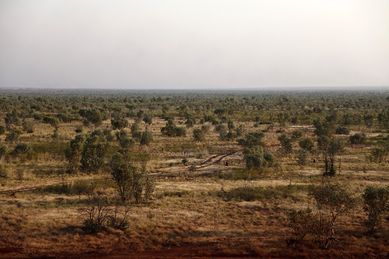 Sparse, scrubby outback landscape