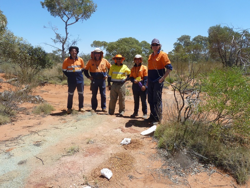 Five men in hi-vis workwear stading grouped in outback landscape