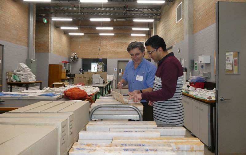 Two men looking into opened box trays
