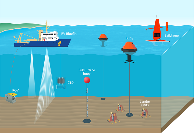 Illustration showing survey ship and deployed monitoring equipment including CTD, ROV, sea floor landers, saildrones, surface and subsurface buoys