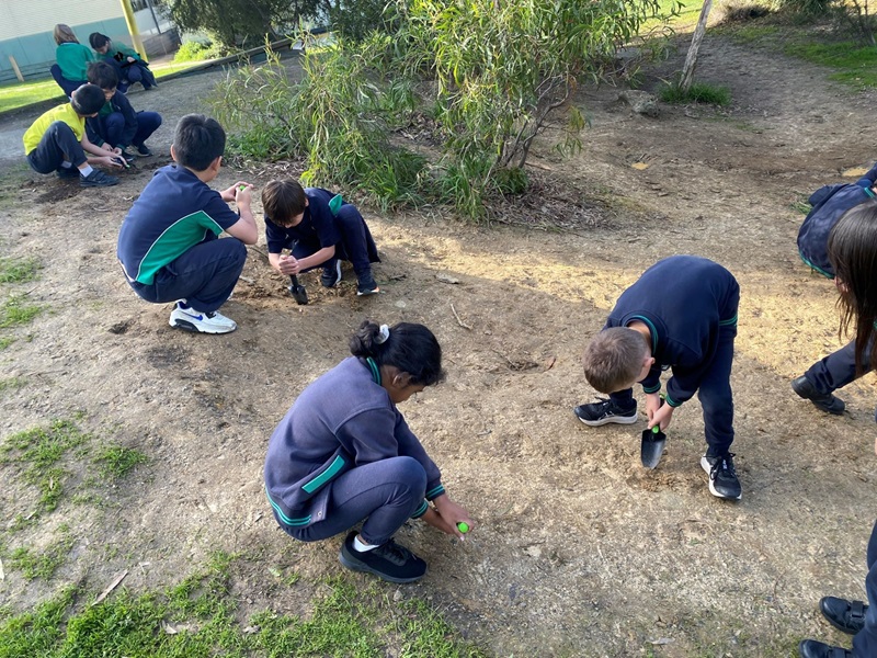 Primary school students digging in dirt
