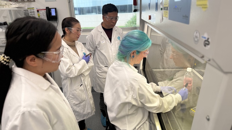 A group of scientists watching a CSIRO scientist set up an experiment