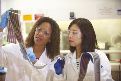 Two female scientists inspecting flexible electronic solar cells