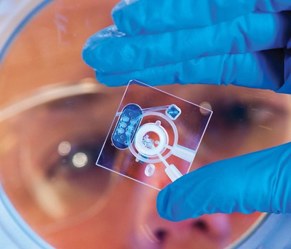 Close up photo of a scientist holding a glass slide used to create polymers.