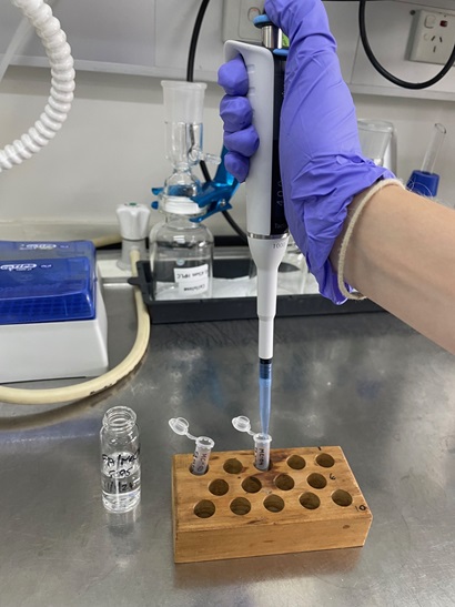 An image of a researcher's hand with a scientific implement extracting substances from small vials used to analyse the dyes used in Australia's 1297 Inspeximus issue of the Magna Carta. 