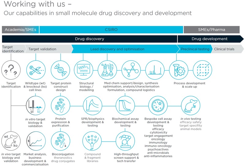 Info graphic showing CSIRO capabilities in small molecule drug discovery and development
