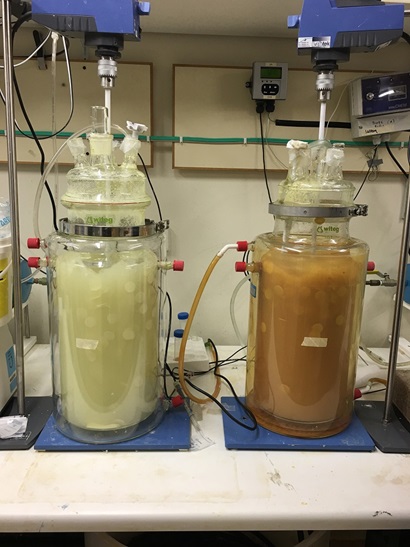 Two glass bottles, one filled with yellow liquid and the other filled with brown liquid