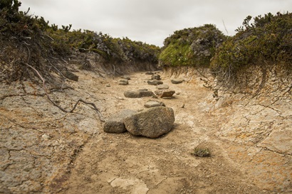 A dry creek bed in Hartz Mountains, Tasmania, Australia.