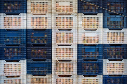 Crates of fruit