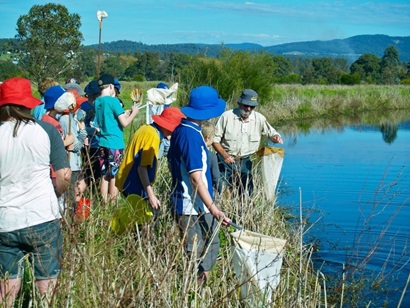 Citizen science investigating waterbugs in a river