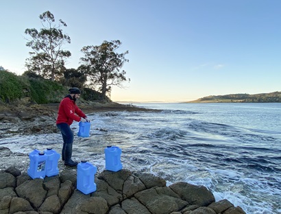 A person on a rocky seashore colleting seawater in large blue containers.