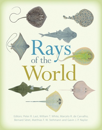The words 'Rays of the World' are surrounded by pictures of different stingrays and other rays