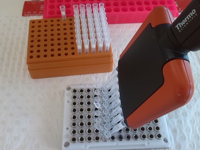An eight tipped hand held pipette that is used to accuratley measure and dispense small amounts of fluid.