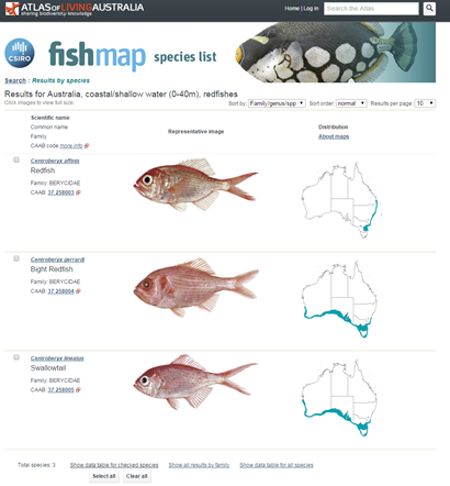 A screen-shot from the FishMap website. The species page contains CAAB codes, common and scientific names, images and maps for the Australian distributions.