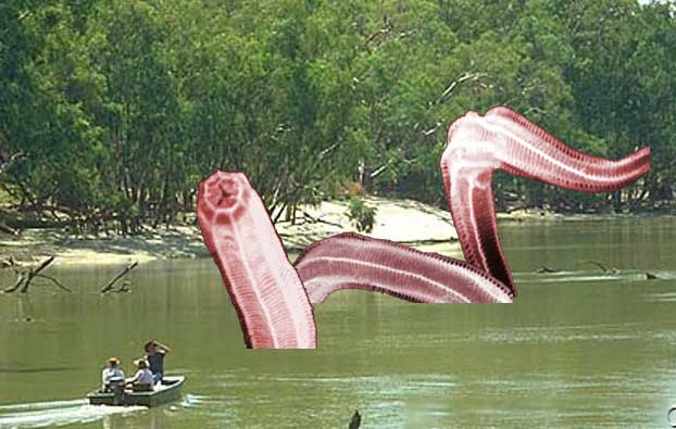 A boat with 3 people in it approaching a hypothetical giant nematode in a river, the monster is shaped like a worm and is is rearing up.
