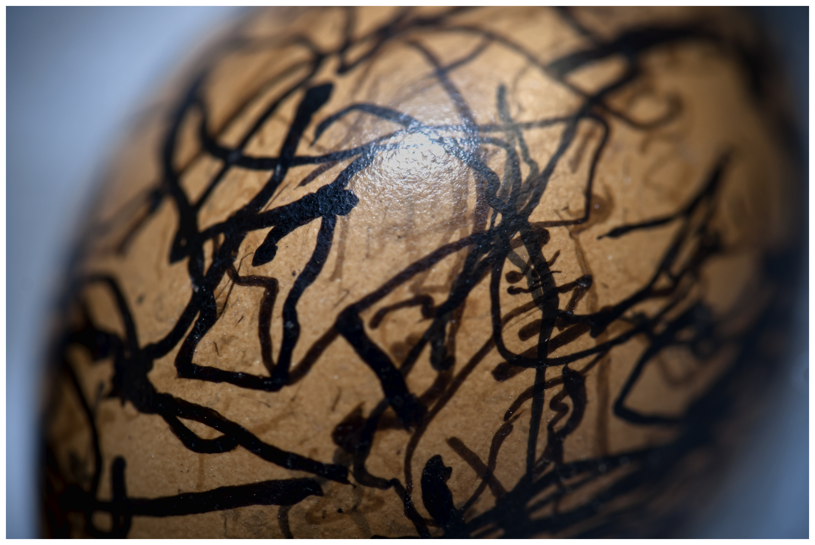 Close-up of egg with pattern detail