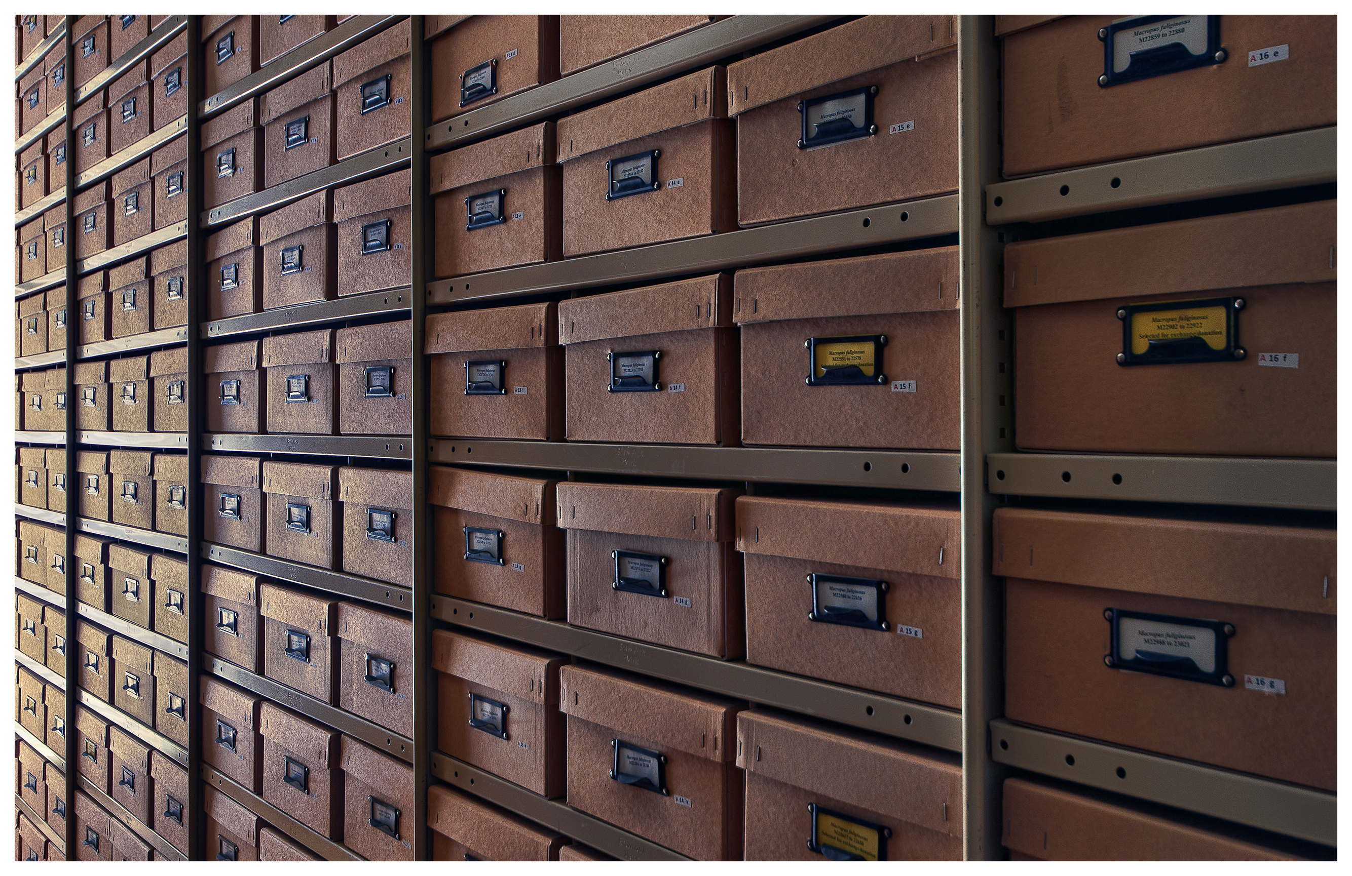 Collection storage