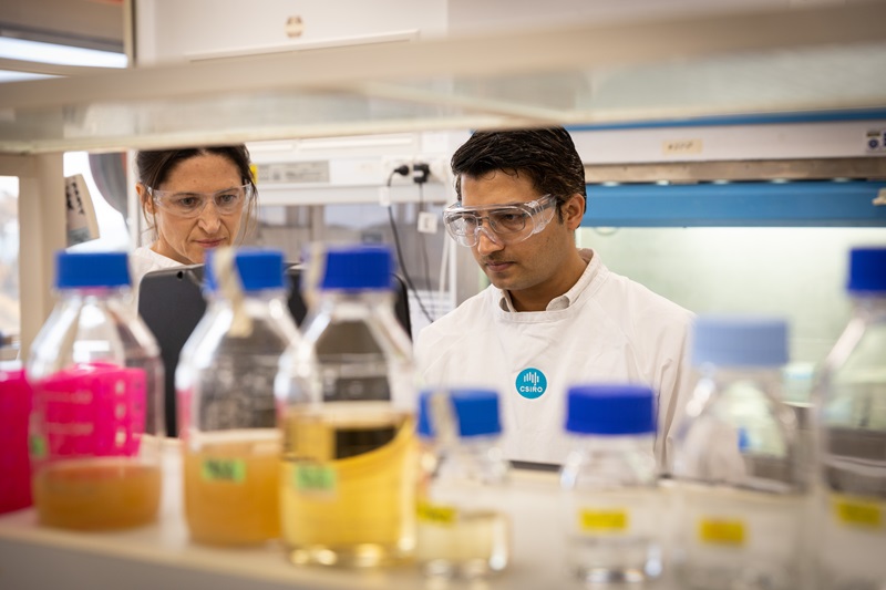 Two scientists wearing lab coats and safety glasses are standing in a lab with bottles of yellow solutions on a shelf in front of them. 