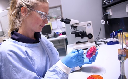 Female scientist in a protective clothing performing a bacteriological test in the Diagnostic Emergency Response Laboratory.