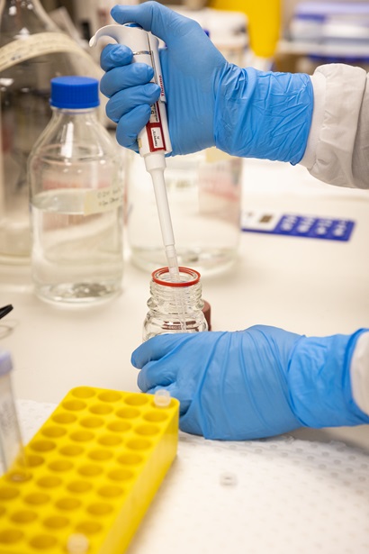 A laboratory bench with two hands in blue gloves holding a pipette and flask with a yellow test tube tray in the foreground.
