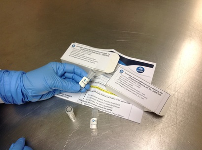 Gloved hand holding an item from a reagent test kit.