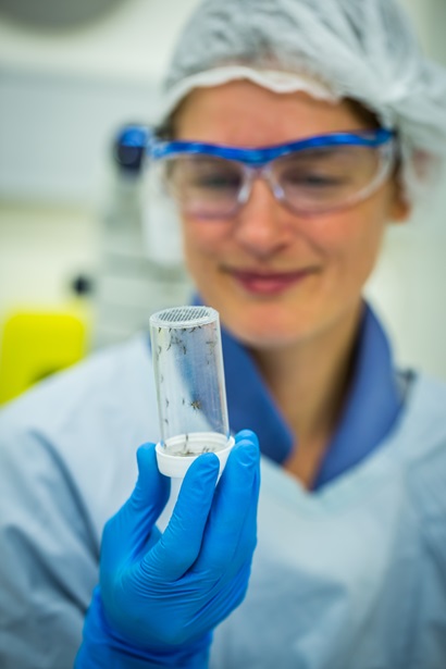 A young women in PPE, blue gloves, lab coat, weaing safety glasses and a hair net holding a clear vial containing mosquitoes.