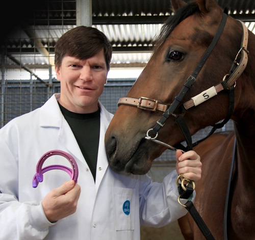 CSIRO researcher, Chad Henry, presents the new race shoes to the horse.