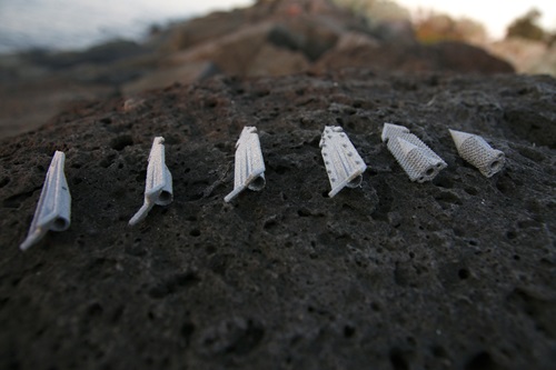 A line-up of fish tags of a rock