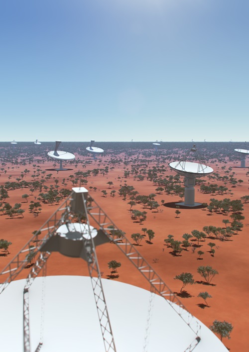 Artist's impression of dishes that will make up the SKA radio telescope at the Australian core site.