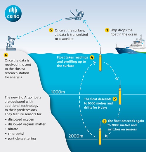 An infographic on how data is collected from an Argo float.